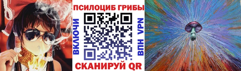 Псилоцибиновые грибы Cubensis  Купить  Череповец 