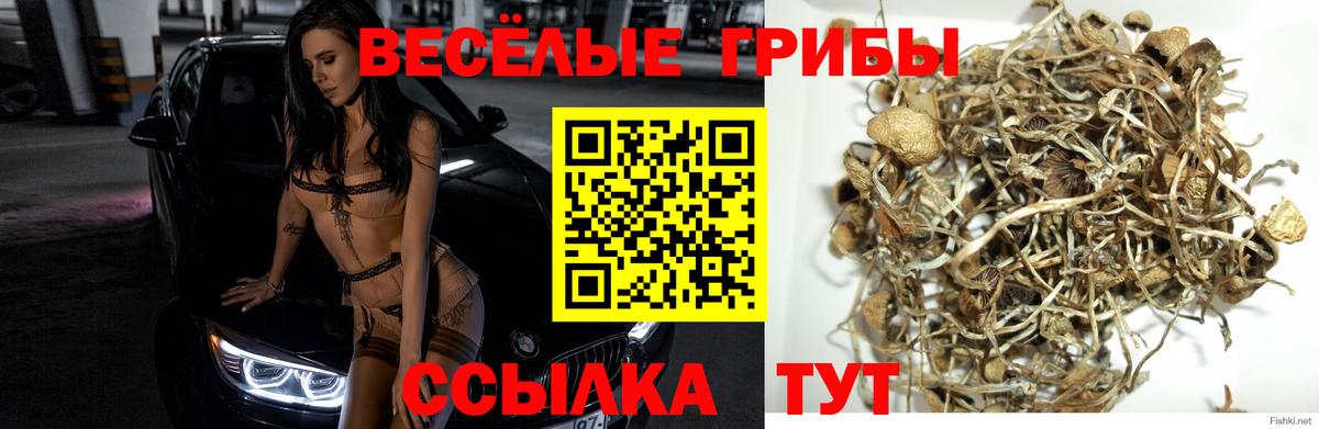 Галлюциногенные грибы мухоморы  Вход с VPN  Череповец  Галлюциногенные грибы Cubensis 