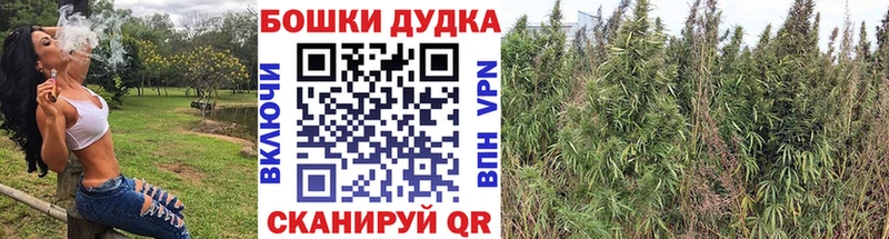 Купить закладки  Череповец  Канабис THC 21% 